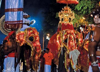 جشنواره های تماشایی سریلانکا: گزارشی جامع از جشن های فرهنگی و مذهبی جشنواره های تماشایی سریلانکا: گزارشی جامع از جشن های فرهنگی و مذهبی